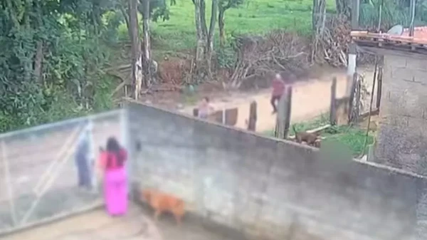 Bebê foi agarrado por animal e arrastado
