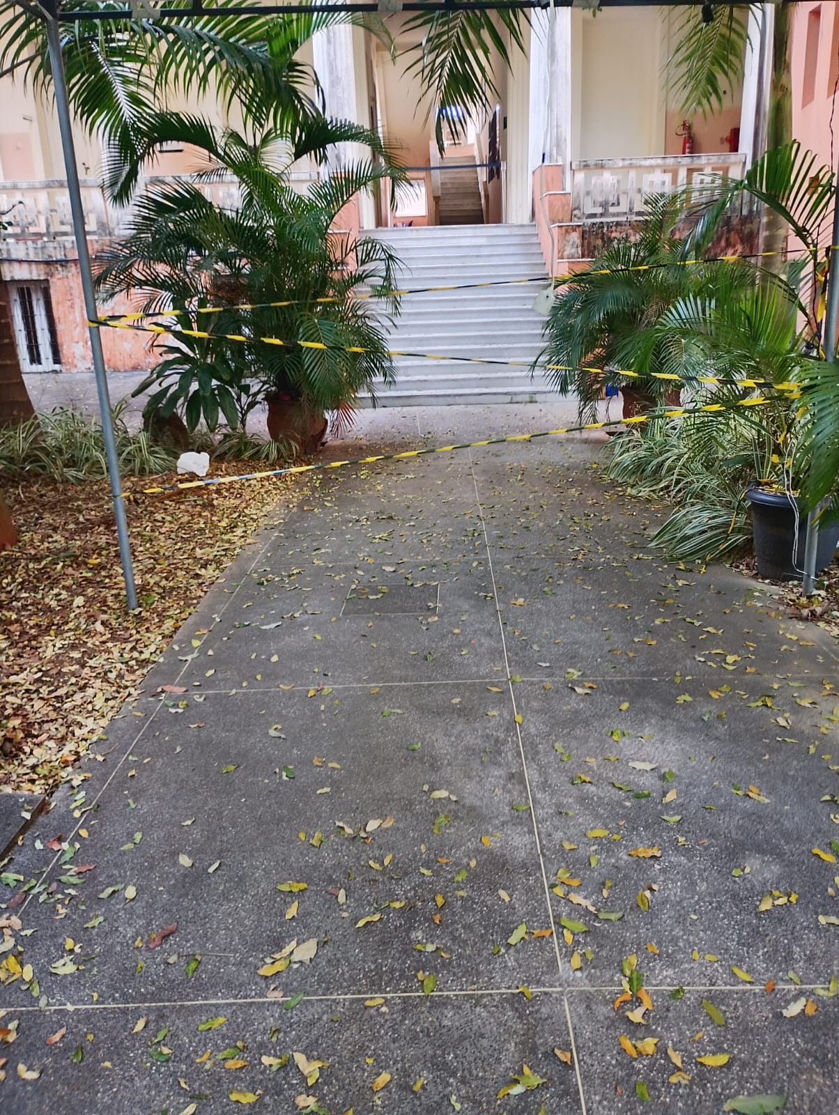 Espaços do prédio da Faculdade de Medicina da Bahia (FMB), da Ufba, têm riscos na estrutura por Acervo pessoal