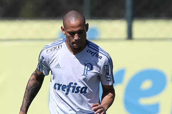 Gabriel Furtado pelo Palmeiras por Cesar Greco/Palmeiras 