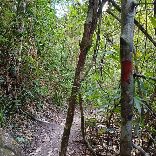 Marcas em trilha de cahoeira no Vale do Capão por Reprodução
