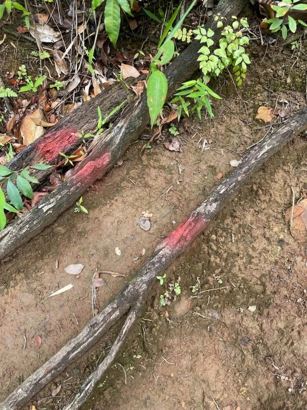 Marcas em trilha de cahoeira no Vale do Capão por Reprodução