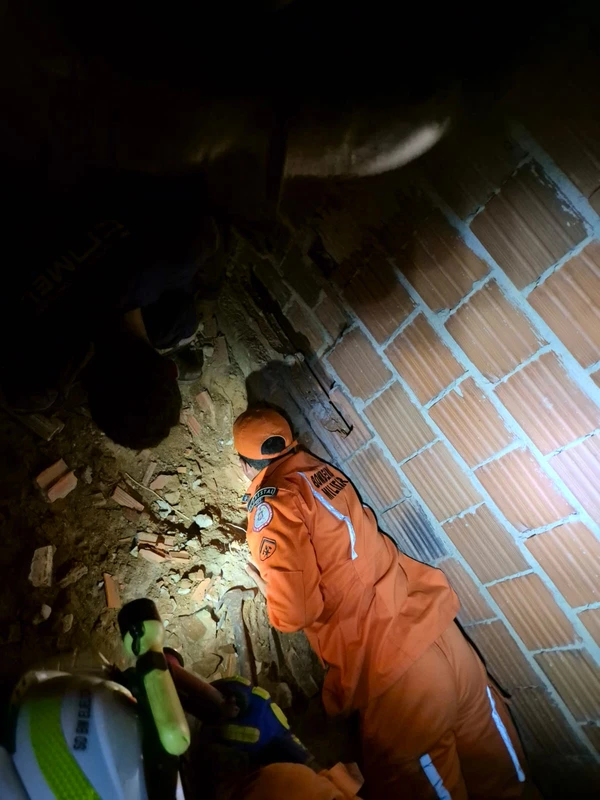 Resgate de filhotes em casa abandonada na Bahia por Divulgação