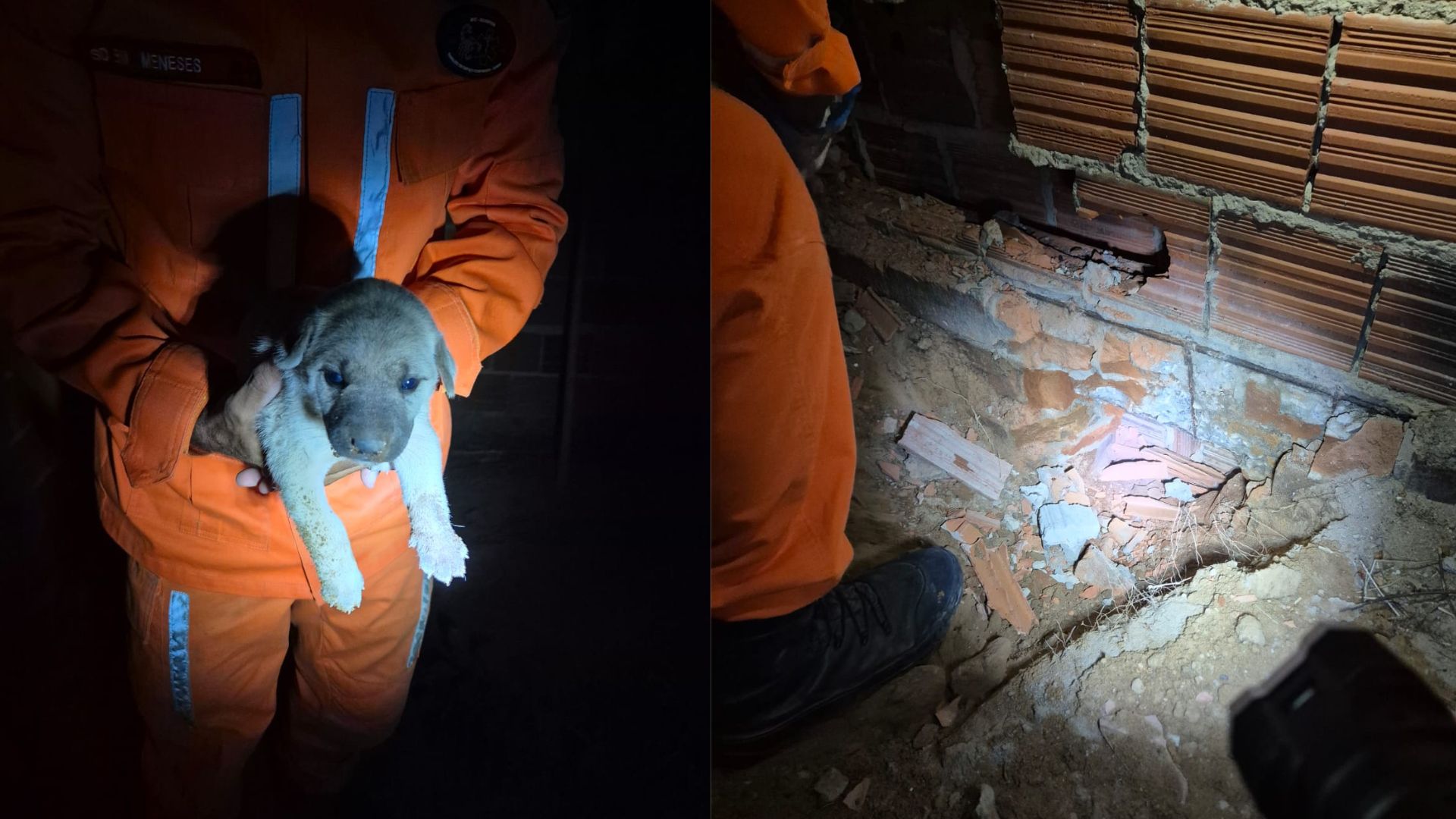 Resgate foi realizado por bombeiros na Bahia por Divulgação