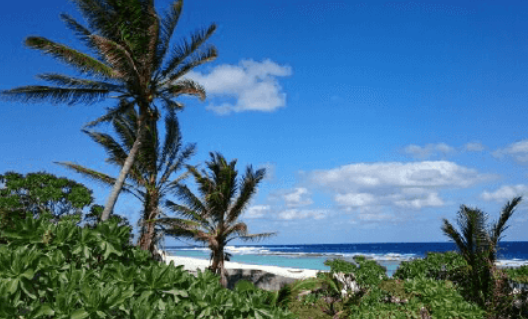 Minerais foram encontrados perto da ilha de Minami Torishima, no Pacífico por Reprodução | Profile of the Minamitorishima Island