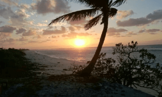Minerais foram encontrados perto da ilha de Minami Torishima, no Pacífico por Reprodução | Profile of the Minamitorishima Island