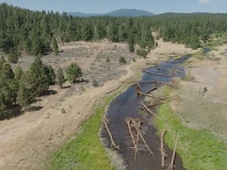Imagem - Governo está usando helicóptero e lançando mais de 6 mil toras de madeira no fundo de rios