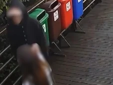 Imagem - Caso Orelha: delegado diz que adolescente alvo de internação já cometeu outras infrações