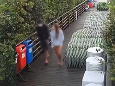 Imagem - Vídeo desmente adolescente e inquérito da morte do cão Orelha é concluído