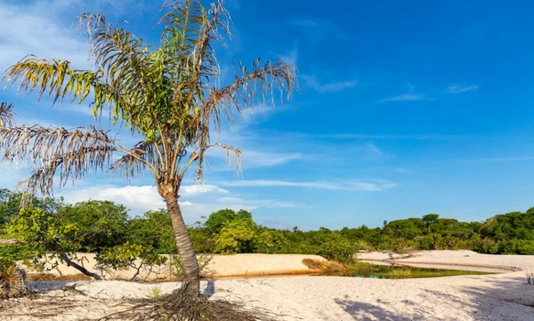 Transparência das águas do Tapajós é o grande diferencial que atrai turistas globais por Reprodução (Ticiana Giehl/Escolha Viajar)