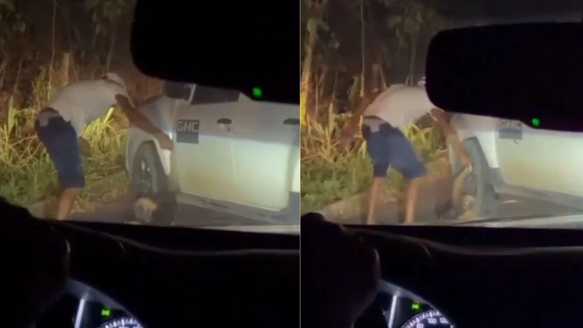 Animal foi agredido em estrada por homem na Bahia 