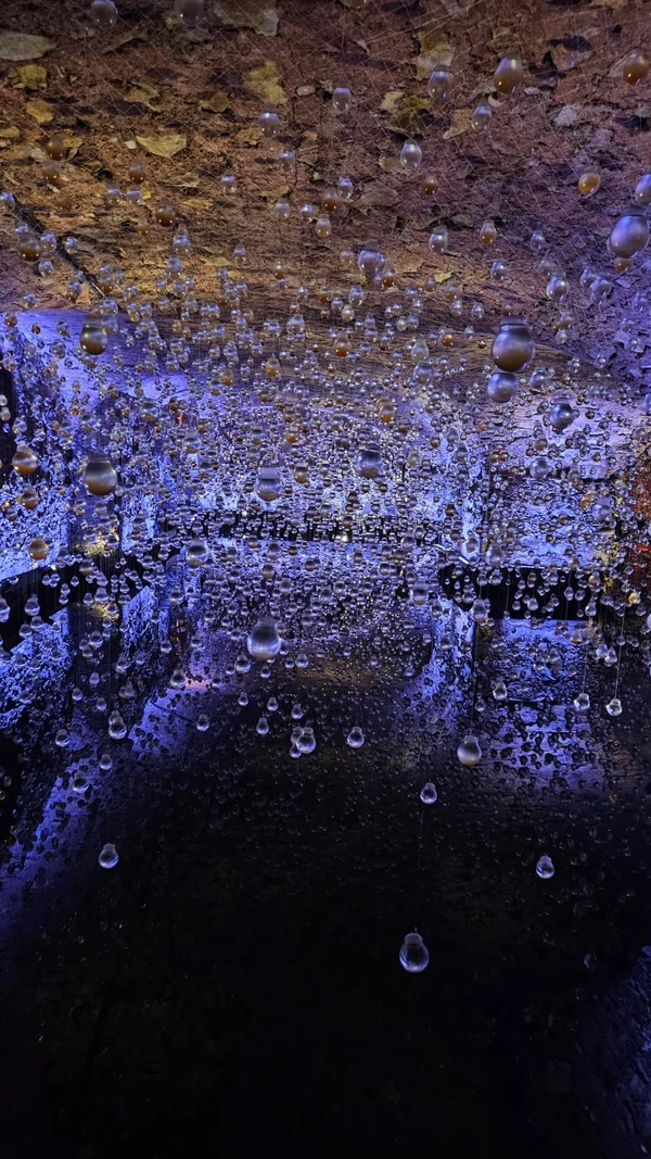 Exposição "Lágrimas", na Galeria Mercado por Ana Paula Lacerda/CORREIO