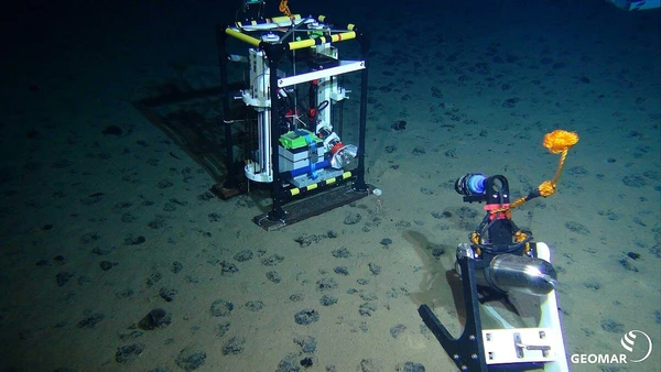 Especialistas utilizaram mapeamento genético para catalogar espécies ameaçadas pela extração de níquel e cobalto