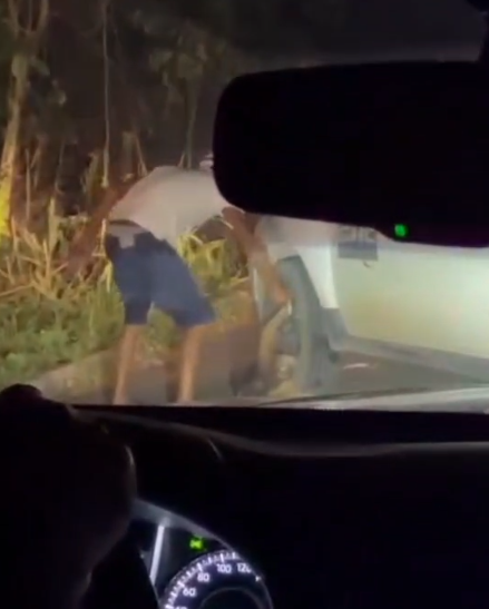 Homem flagrado agredindo tamanduá na Bahia por Divulgação 