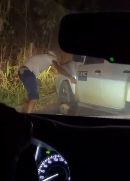 Homem flagrado agredindo tamanduá na Bahia por Divulgação 