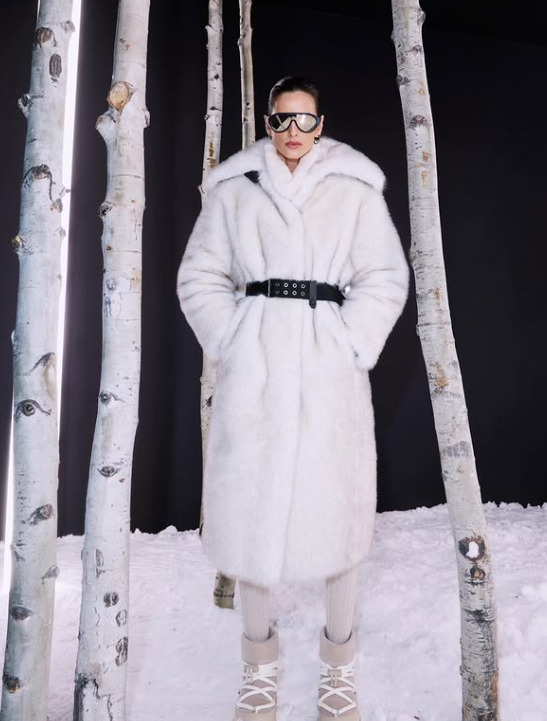 Modelo Izabel Goulart por Reprodução | Instagram