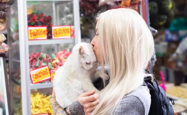 Feira é conhecida como a 'cidade dos gatos' por YouTube