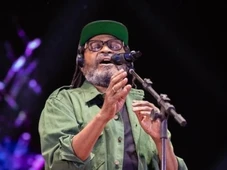 Imagem - Deputada critica Edson Gomes após vídeo polêmico viralizar: 'Sempre foi reacionário'