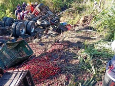 Imagem - Motorista morre após carreta tombar e cair em ribanceira na Bahia