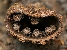 Imagem - Menino de 14 anos vence maior concurso de fotografia usando câmera mais velha que ele e emociona