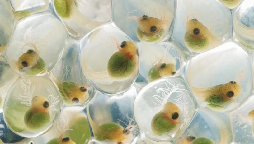 Imagem - Menino de 14 anos vence maior concurso de fotografia do mundo com câmera mais velha que ele e comove