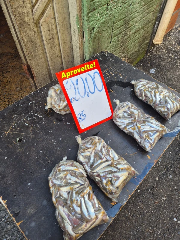 A pititinga sumiu por Moysés Suzart