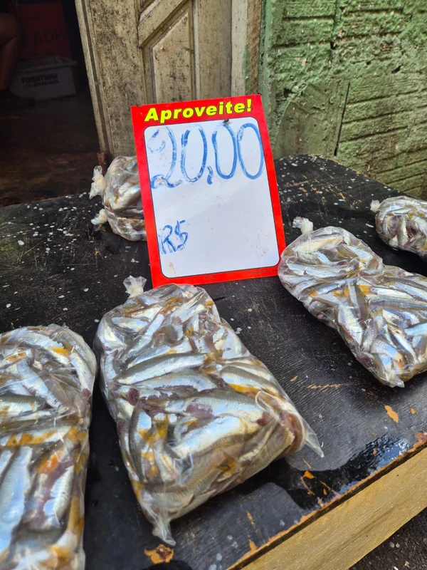 A pititinga sumiu por Moysés Suzart