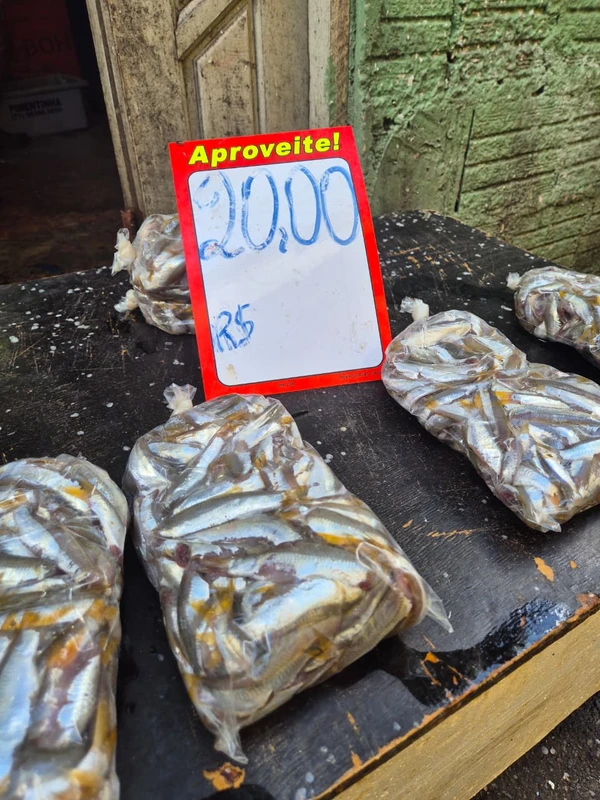 A pititinga sumiu por Moysés Suzart