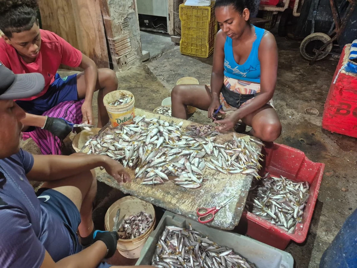 A pititinga sumiu por Moysés Suzart