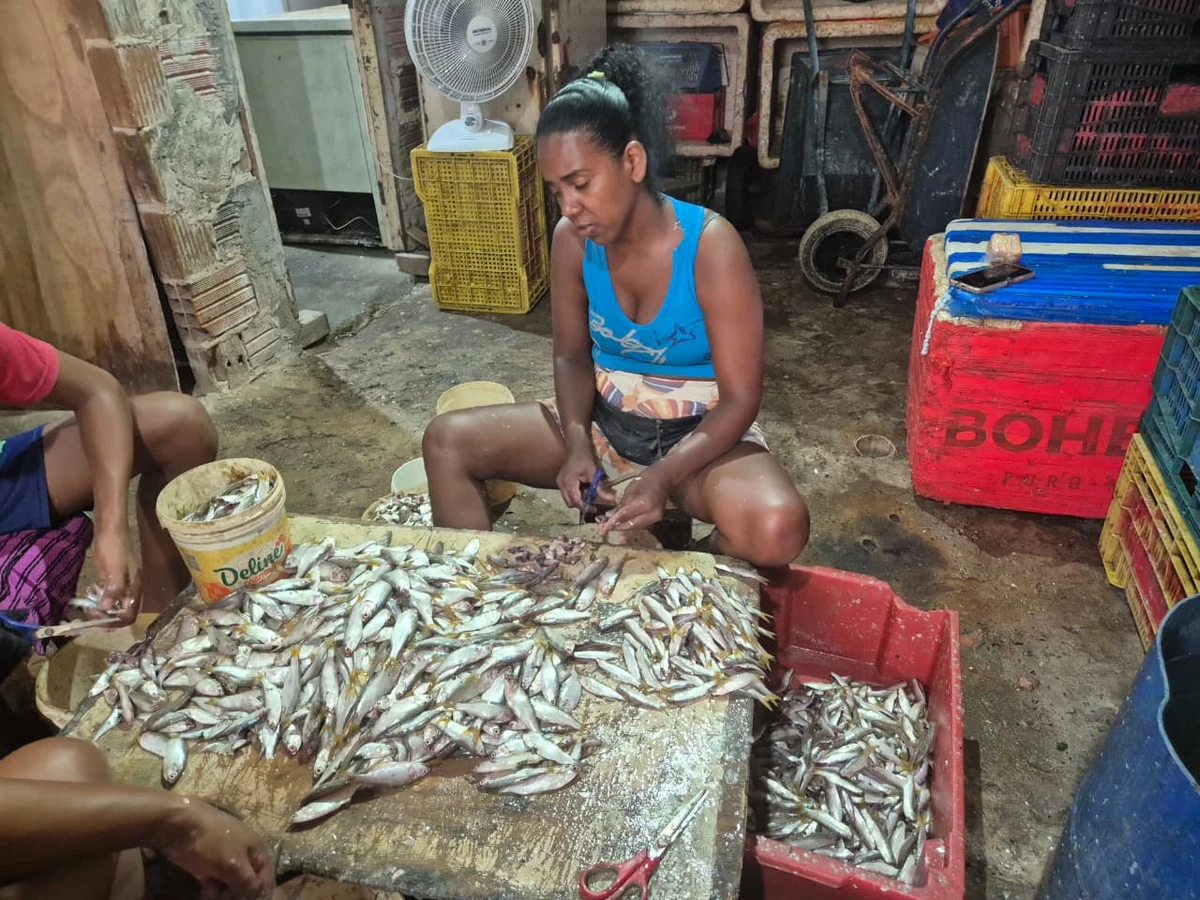 A pititinga sumiu por Moysés Suzart