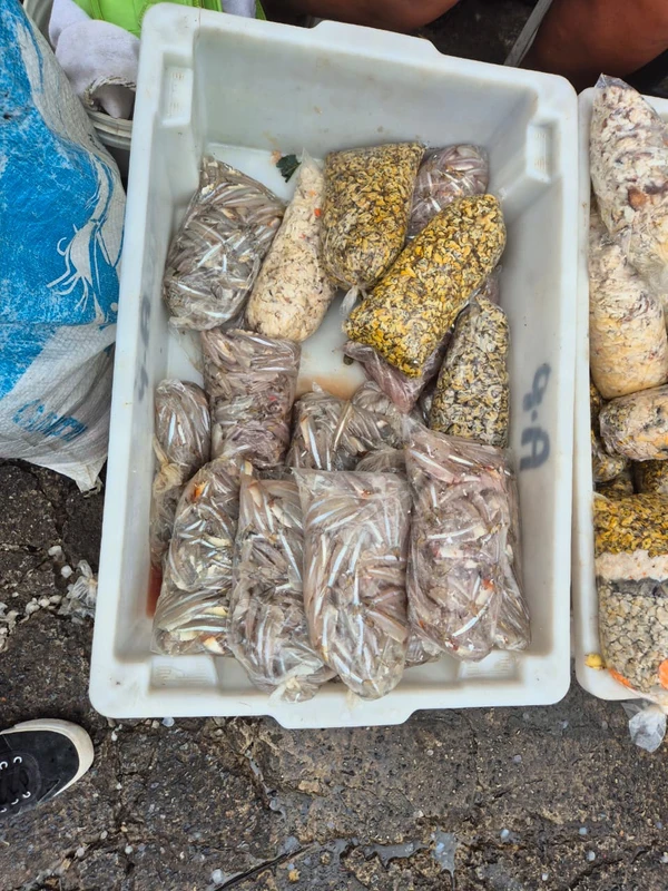 A pititinga sumiu por Moysés Suzart