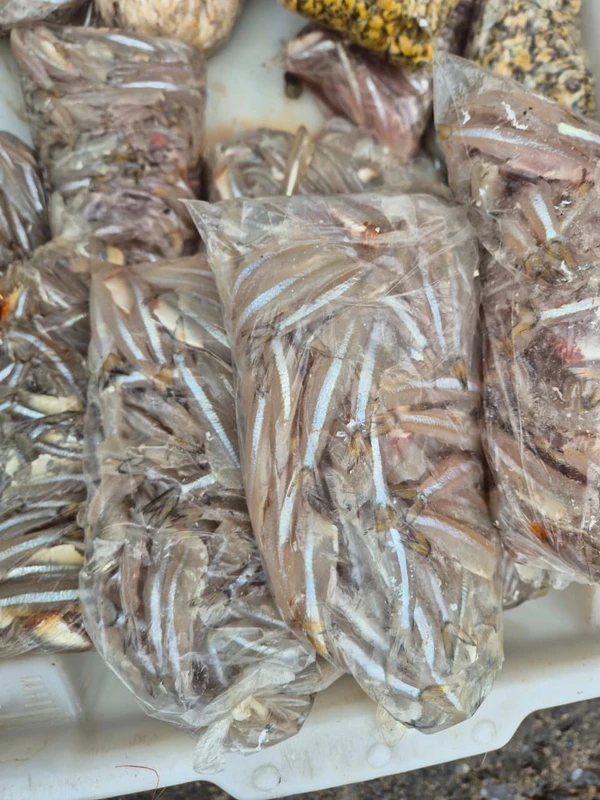 A pititinga sumiu por Moysés Suzart