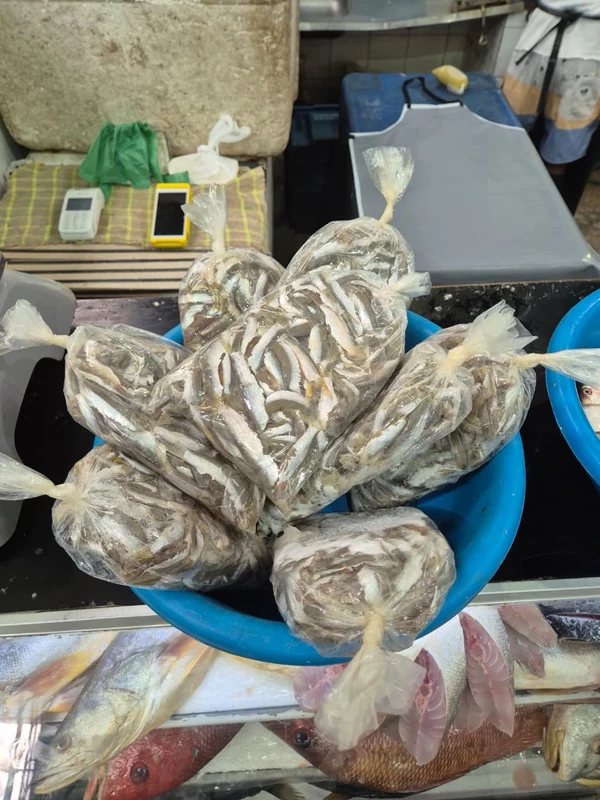 A pititinga sumiu por Moysés Suzart