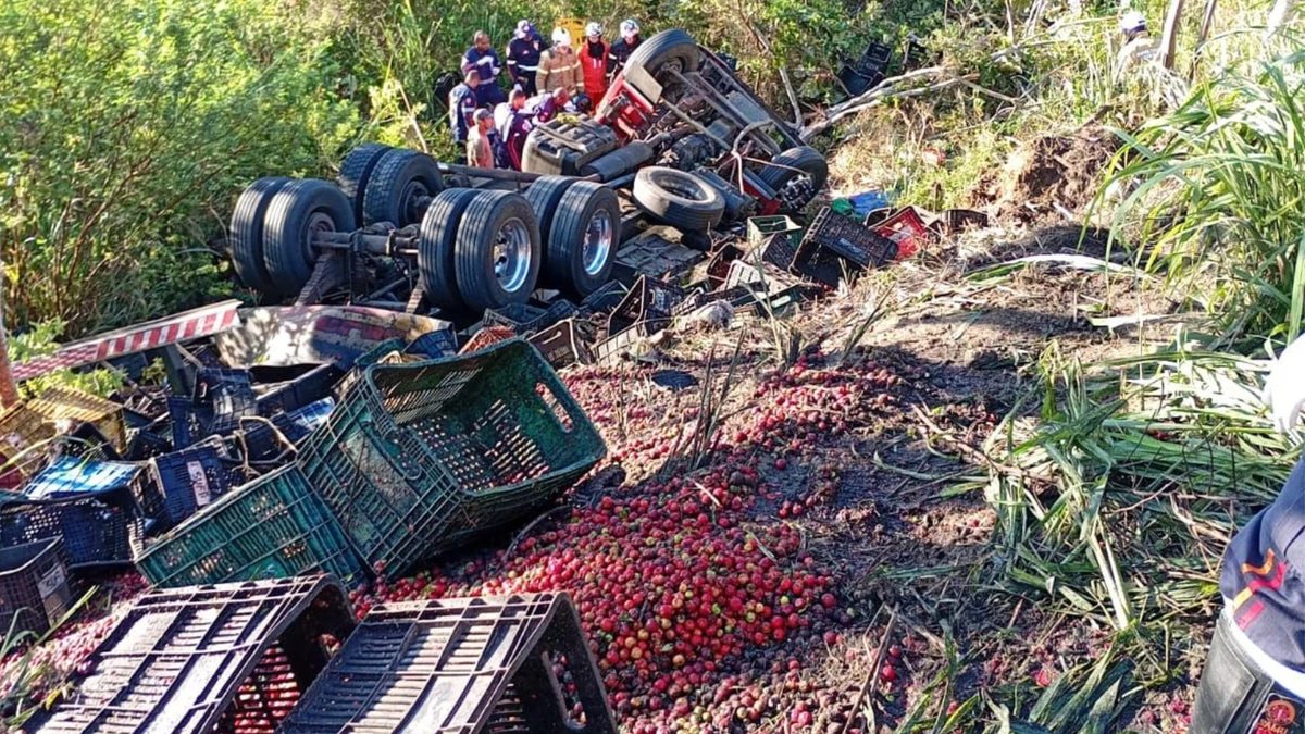 Acidente com carreta na BR-101 por Reprodução/Bahia10
