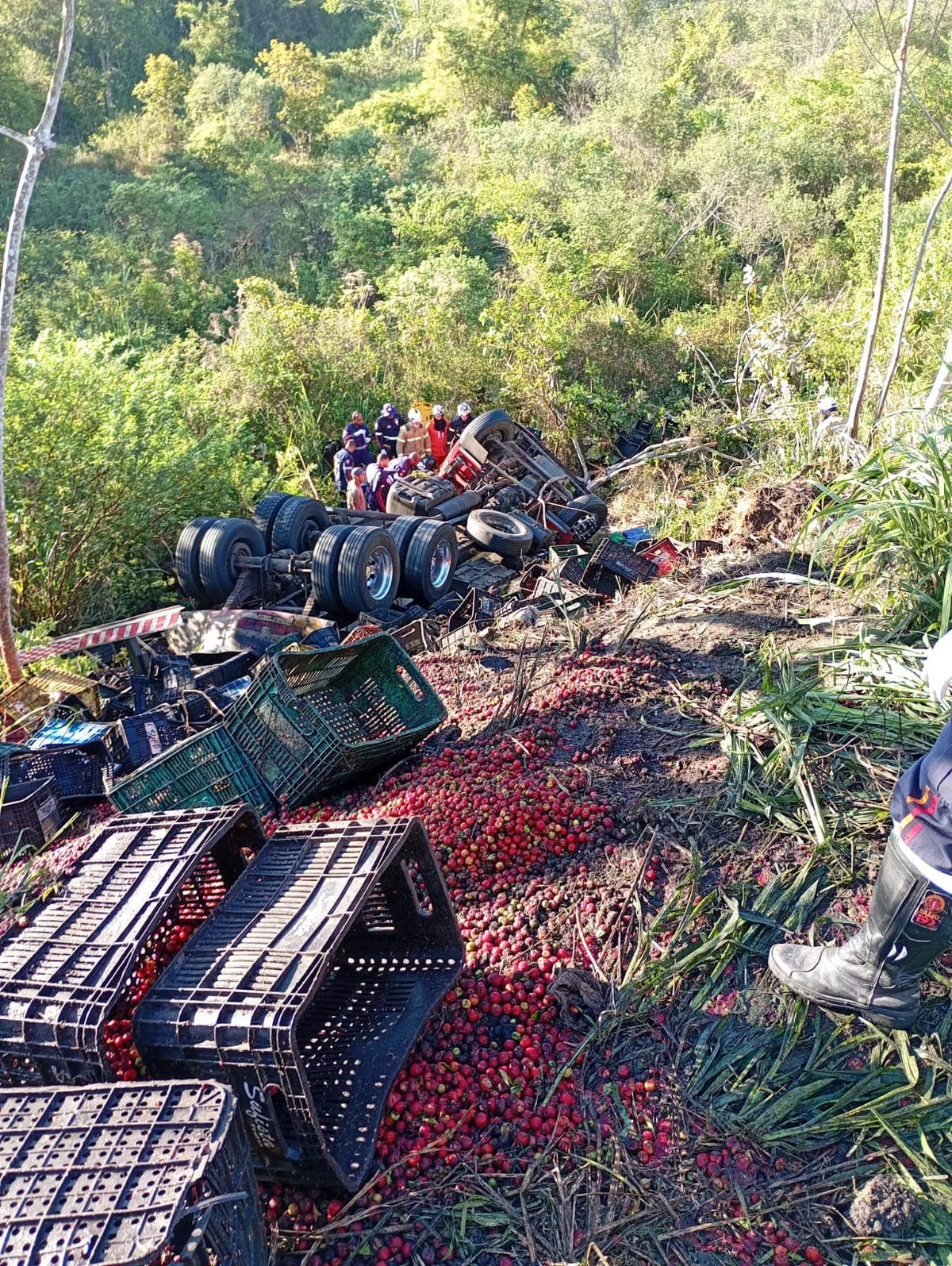 Acidente com carreta na BR-101 por Reprodução/Bahia10