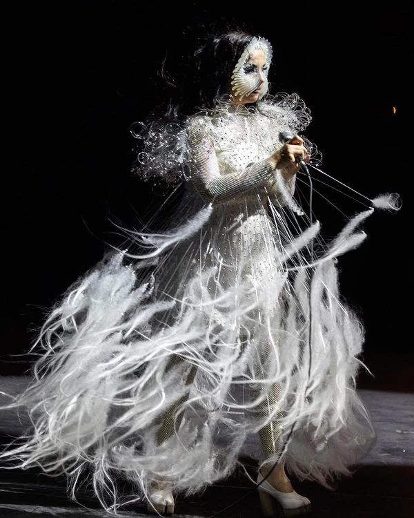 Björk por Reprodução/Instagram