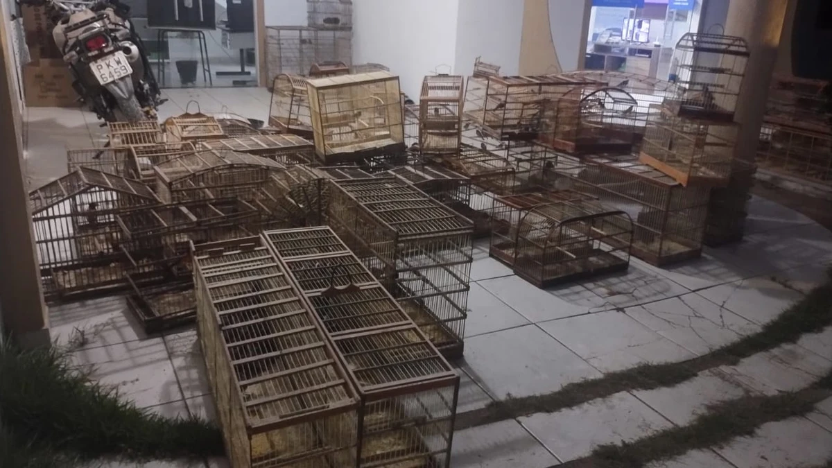 Cativeiro mantinha animais em condições precárias