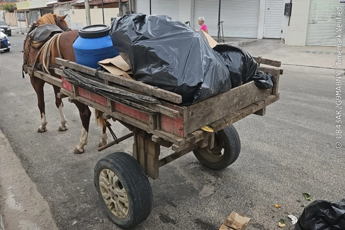 Secretaria multa empresa por descarte irregular por Divulgação/ Sesp/Feira de Santana