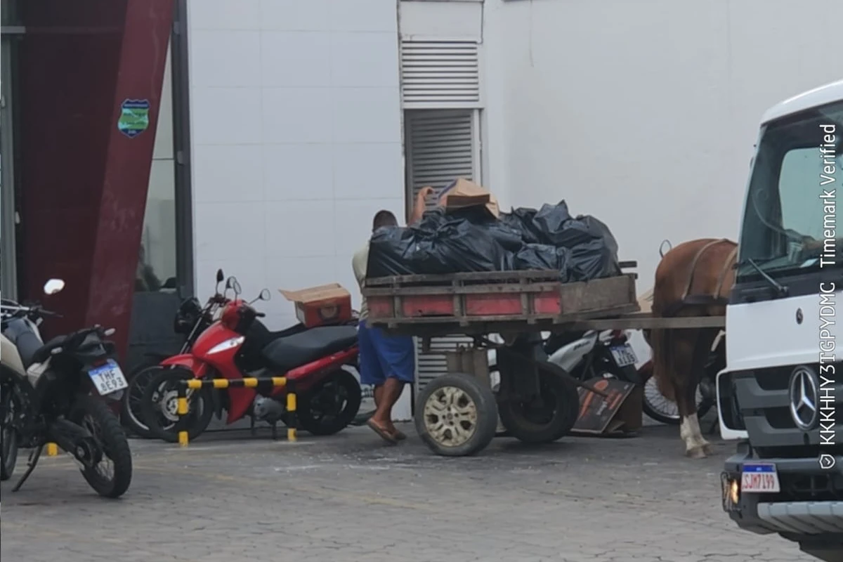 Secretaria multa empresa por descarte irregular por Divulgação/ Sesp/Feira de Santana