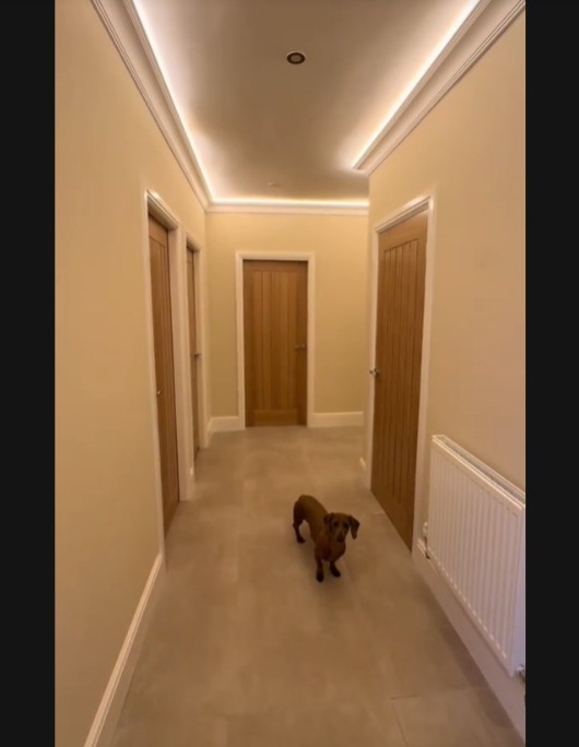 Casal reforma antiga garagem industrial e a transforma em casa dos sonhos por Reprodução/TikTok/fearlessaliceblog_ 