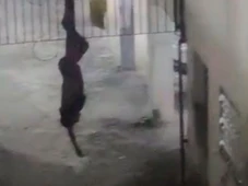 Imagem - Homem tenta invadir prédio em bairro nobre e fica preso de cabeça para baixo em portão