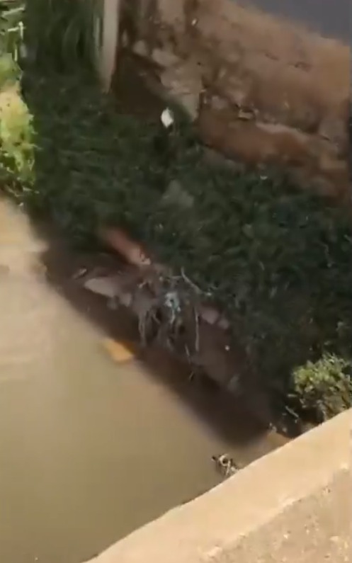 Caixões foram parar no córrego por Reprodução