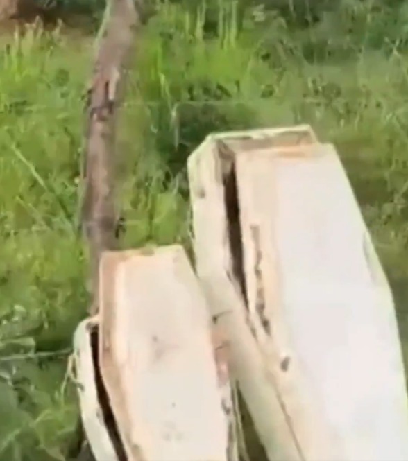 Caixões foram parar no córrego por Reprodução