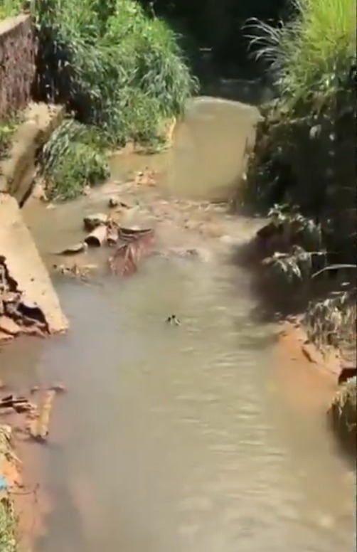 Caixões foram parar no córrego por Reprodução