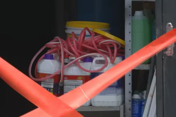 Casal passou mal após entrar em piscina por Reprodução/TV Globo