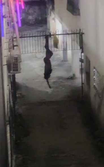 Homem fica preso em portão durante invasão na Graça por Reprodução