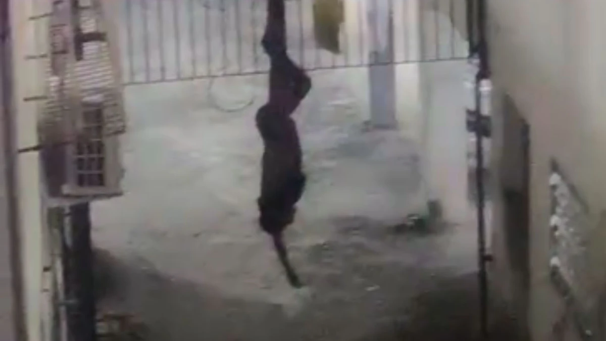 Homem ficou preso em portão ao tentar invadir prédio na Graça