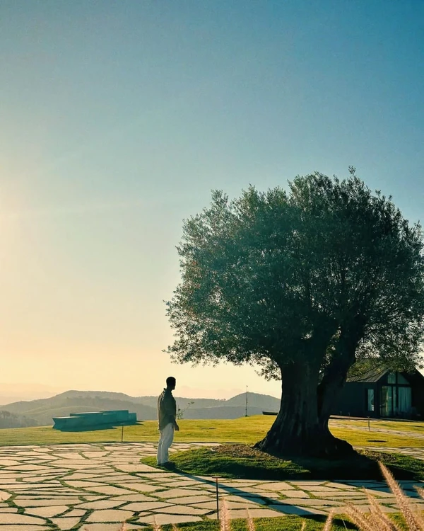 Rancho da Montanha por Reprodução