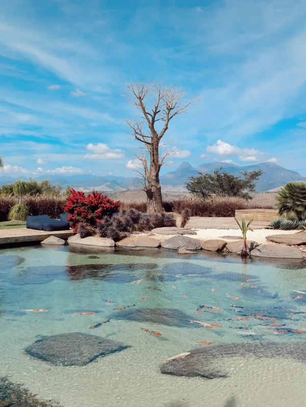 Rancho da Montanha por Reprodução