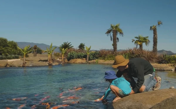 Rancho da Montanha por Reprodução