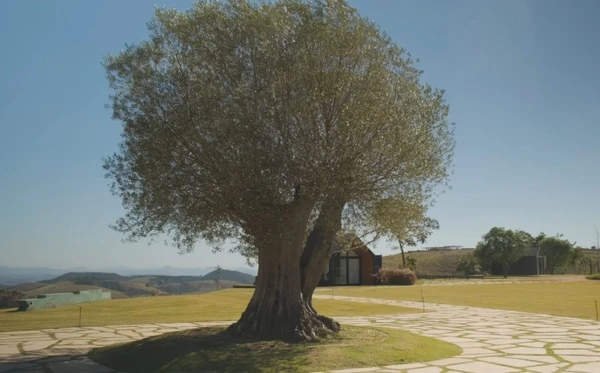 Rancho da Montanha por Reprodução